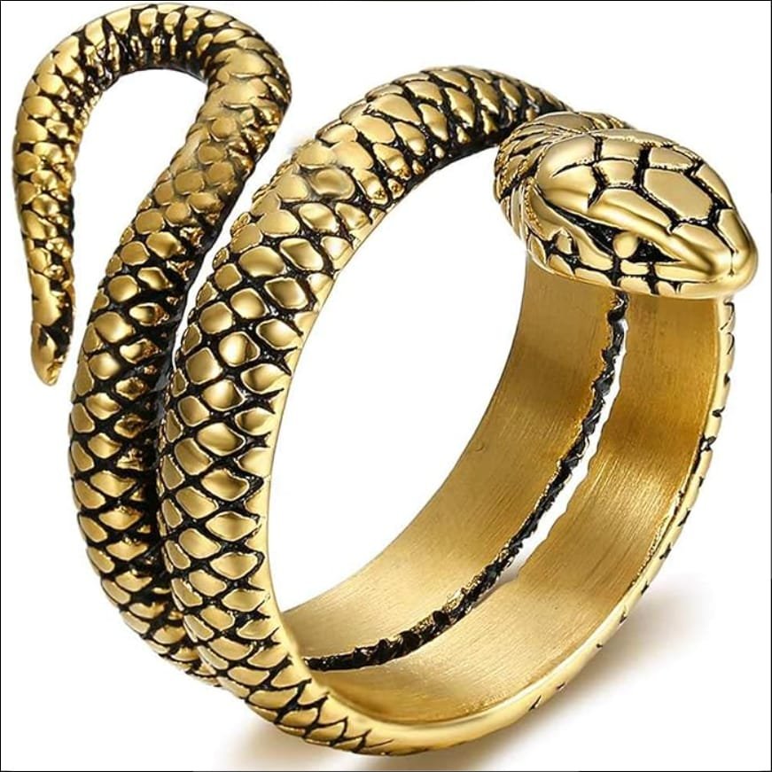 JewelryWe Jewellery Men's Ring Snake Ring Stainless Steel Double Row;Joyería Joyería Anillo para Hombre Anillo de Serpiente Doble Fila de Acero Inoxidable 1 jewelrywe-jewellery-mens-ring-snake-ring-stainless-steel-double-row.jpg