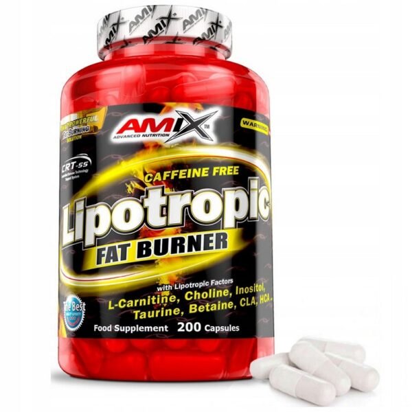 Amix Advanced Nutrition, Lipotropic Dietary supplement Fat Burner L-carnitine, 200, pcs.