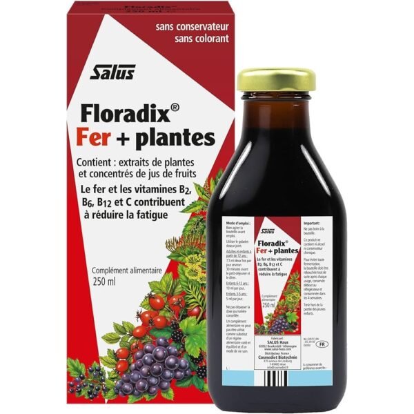 Floradix iron and vitamins B2, B6, B12 C metabolism 250ml, Floradix Eisen und Vitamine B2, B6, B12 C-Stoffwechsel 250ml