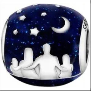 Charms family family starry sky silver 925;Charms familia cielo estrellado de la familia plata 925