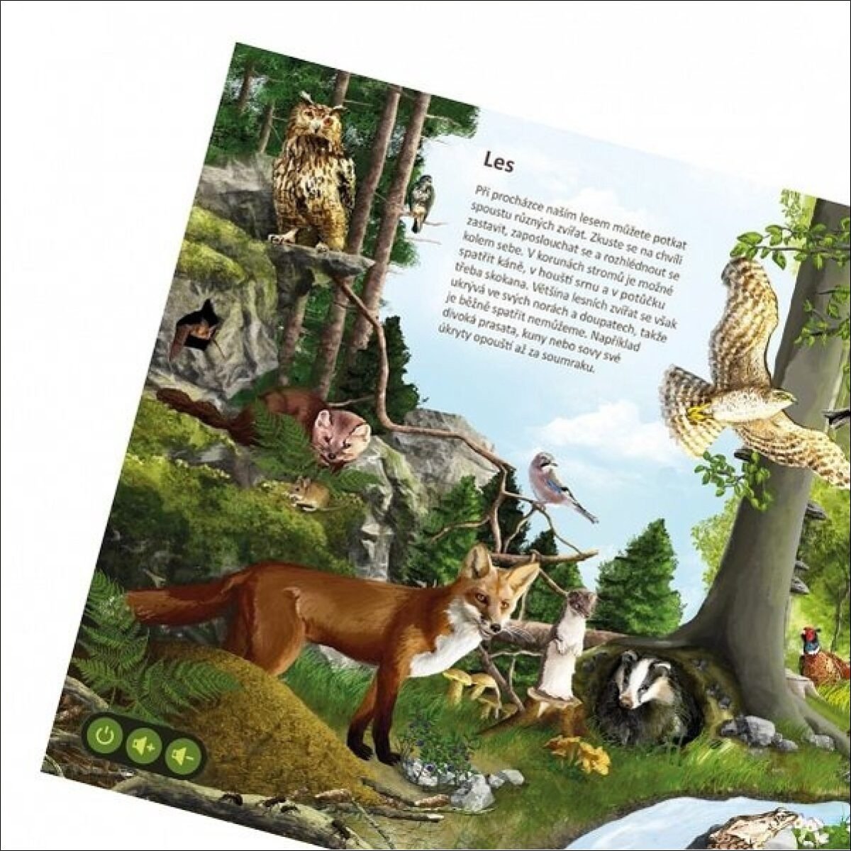 Who lives in the forest and who, for example, in the desert or savannah? What do these animals eat, what sounds do they make and what makes them unique? Readers will learn this and much more on the pages of this book, which includes realistically processed pictures. Just attach an electronic pencil from Albi to them and the text being read will start playing.