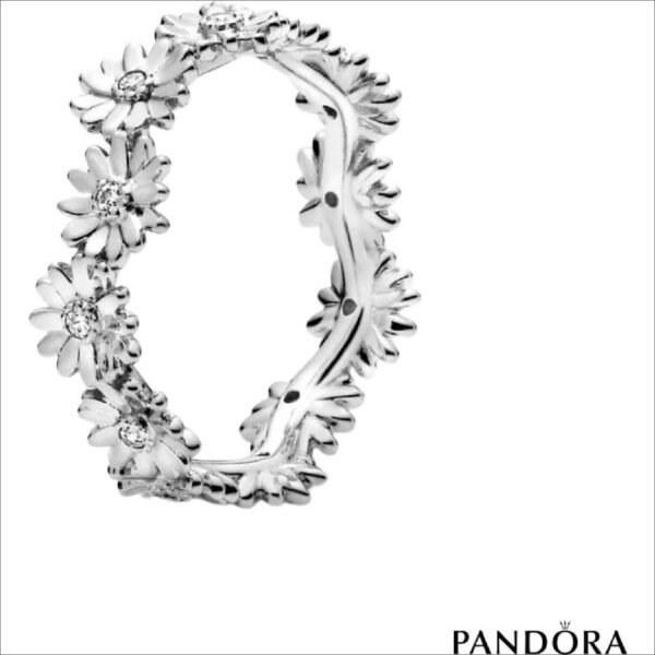 Pandora 198799C01;Pandora 198799C01