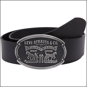Levi's Billy Plaque Belt (38017) regular black